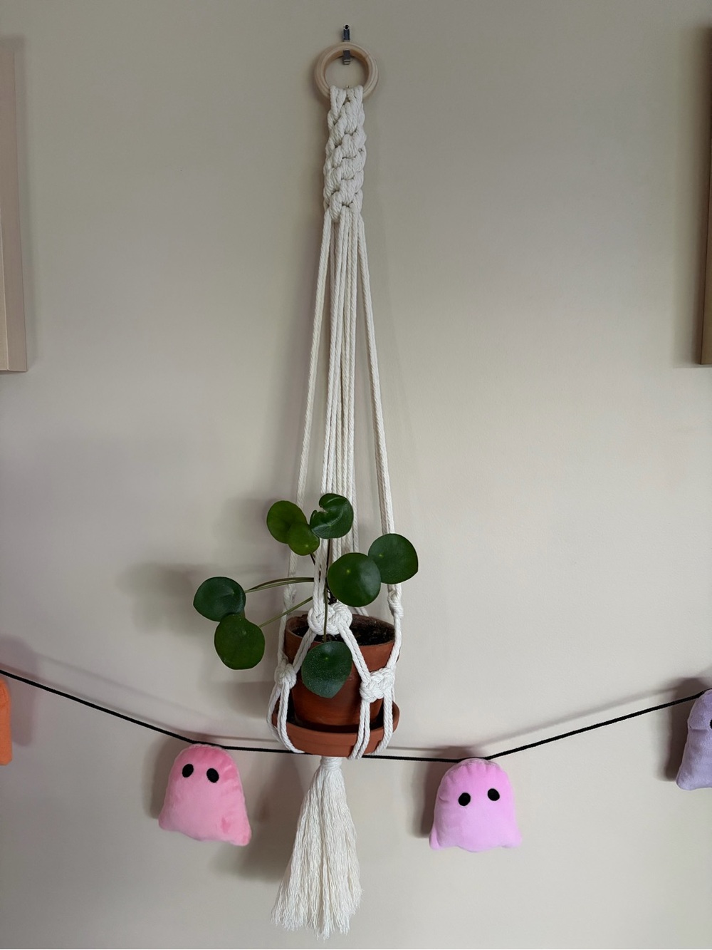 Handmade Plant hangers (Do not include plants)